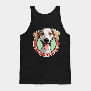 Azawakh Funny Lick First, Ask Questions Later Design Tank Top